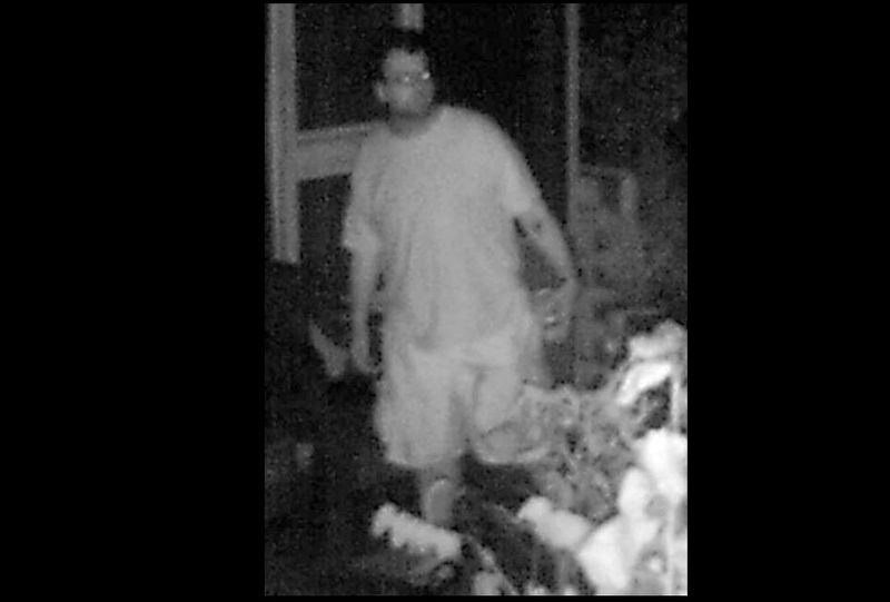 Breaking and entering suspect sought in Newton Falls News