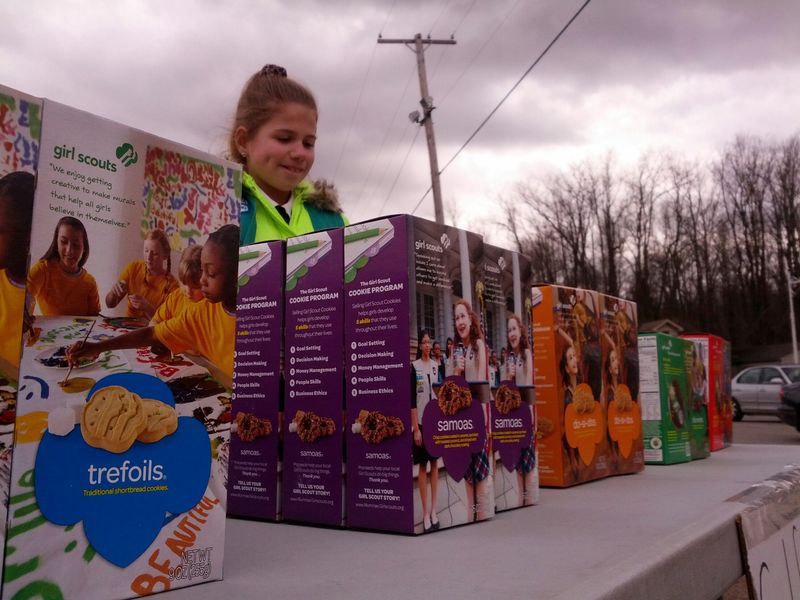 Girl Scout aims to sell more than 2,000 cookies News weather