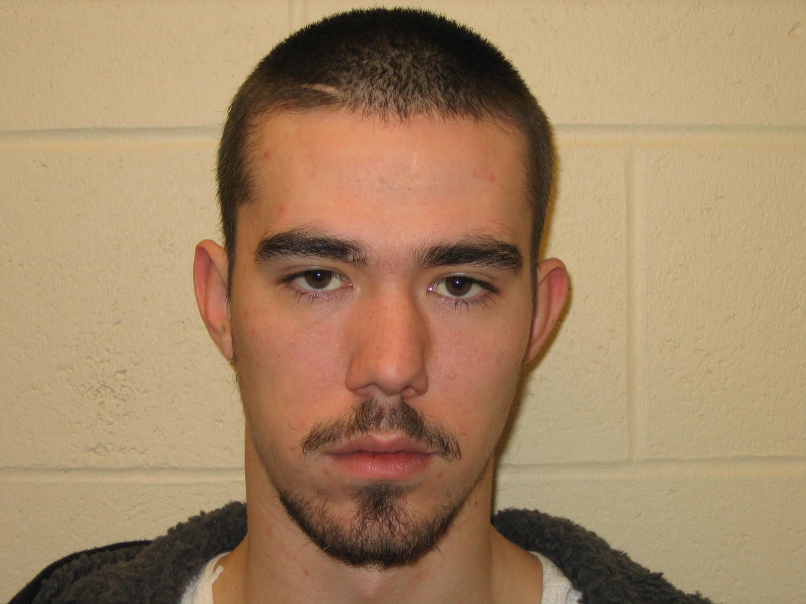 Suspect arrested in alleged Hermitage robbery