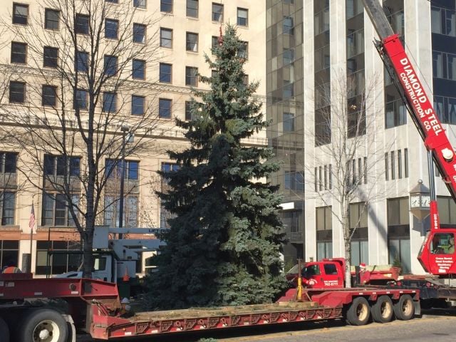 Christmas tree arrives in downtown Youngstown - WFMJ.com