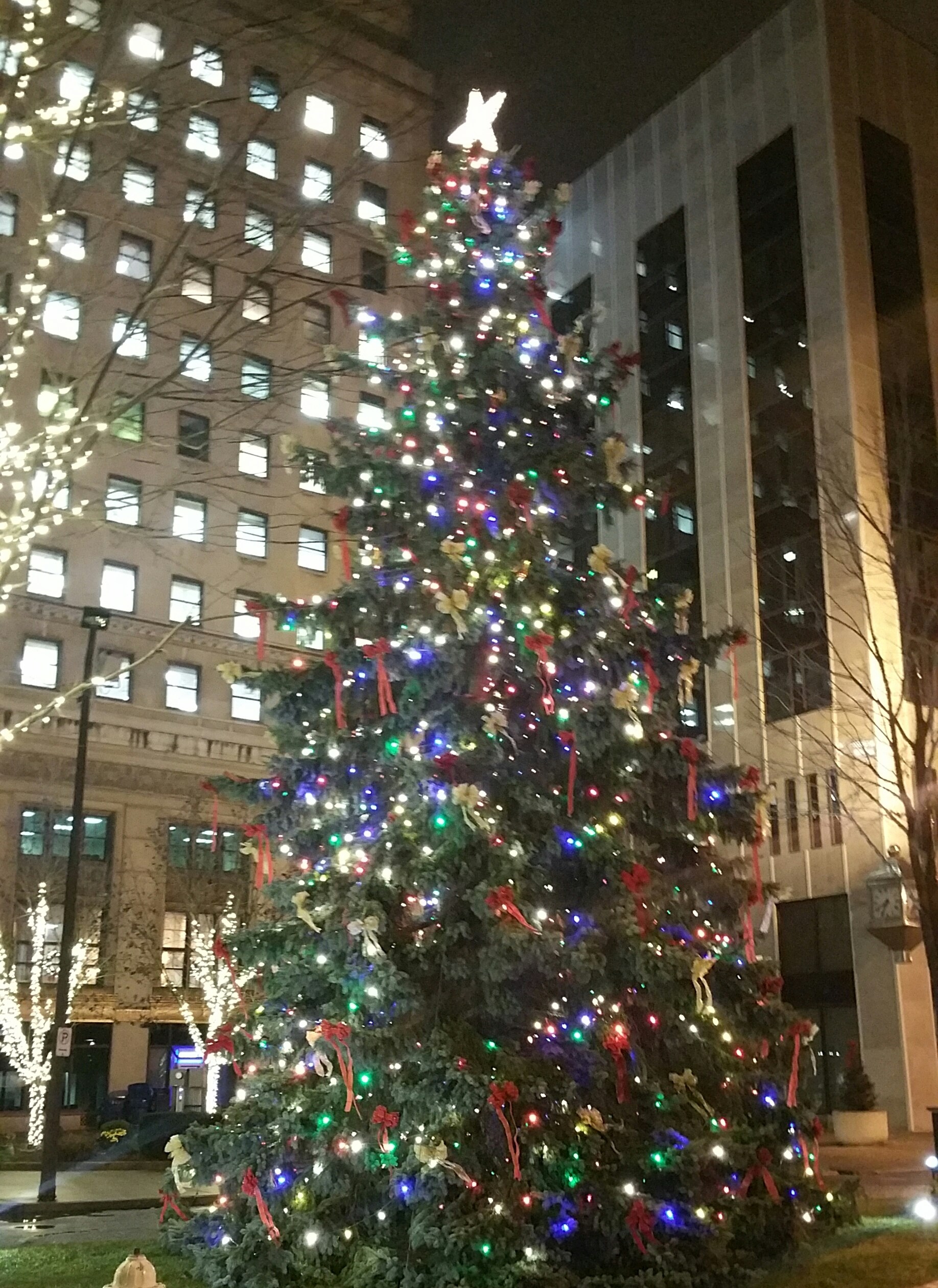Youngstown holding virtual Christmas tree lighting Friday