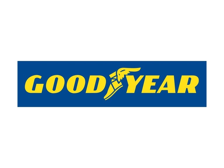 Tire Stickers Goodyear with Wing Foot - DIY Permanent Rubber Tire Lettering  Kit with Glue & 2oz Touch-Up Cleaner / 19-21 Inch Wheels / 1.00  Inches/White / 8 Pack : Amazon.in: Car & Motorbike