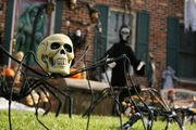 What's This? 'Nightmare Before Christmas' themed decorations vanish in Boardman
