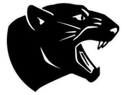 OHSAS says East High Panthers are a Division I school - WFMJ.com