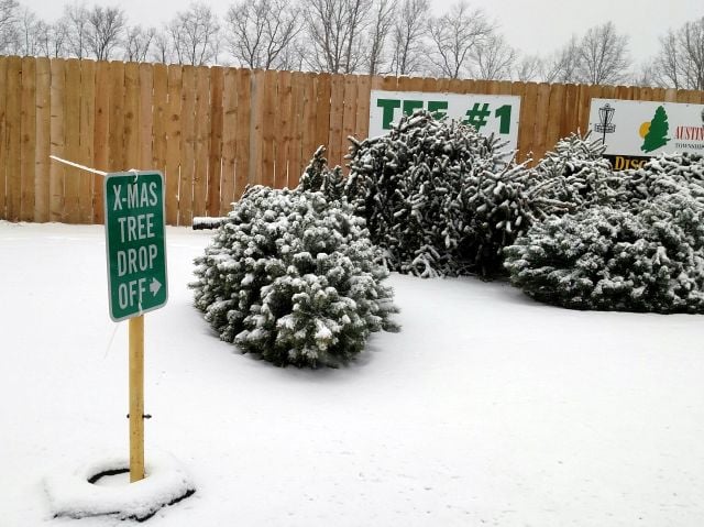 Jackson Township Ohio Christmas Tree Disposal 2022 Christmas Tree Disposal And Recycling Throughout The Valley - Wfmj.com