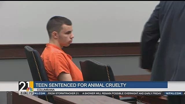 Emotional Sentencing For Columbiana Teen Caught On Camera Beating ...