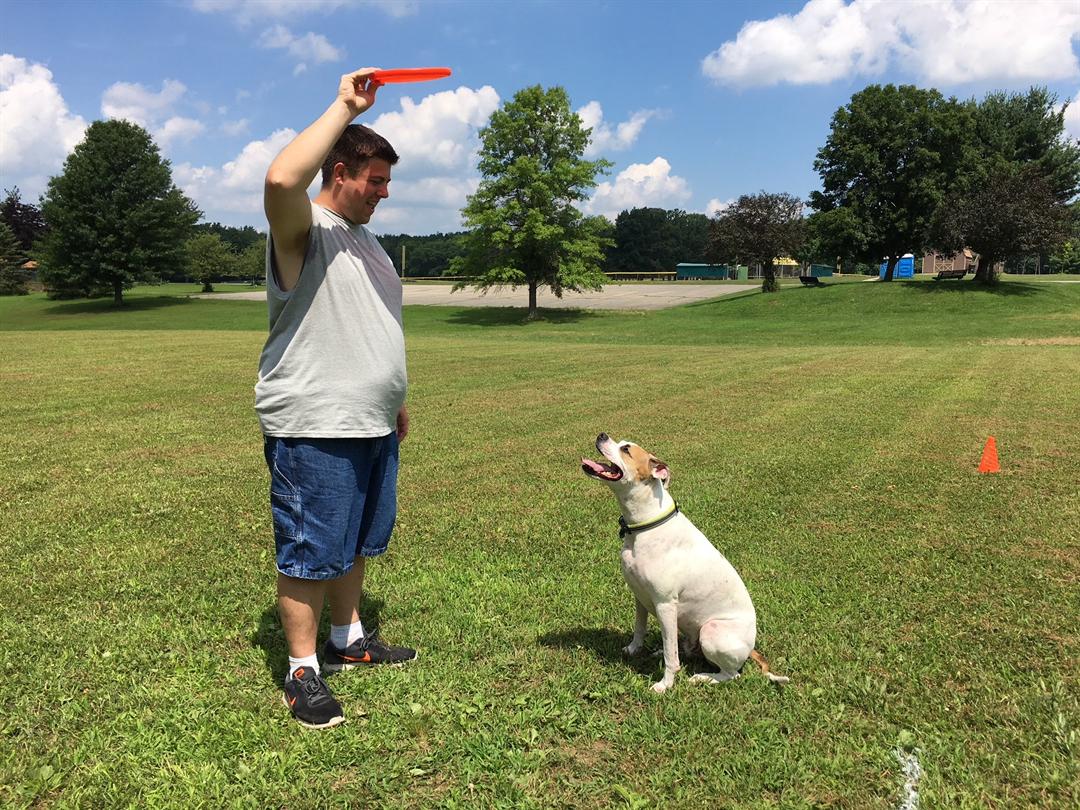 Ohio Disc Dogs Take Fetch To International Level Wfmj Com