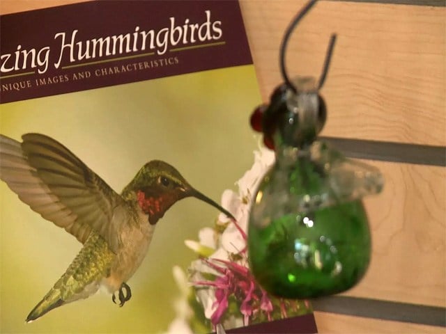 Forget Summer Hummingbirds Love Fall In Ohio Wfmj Com