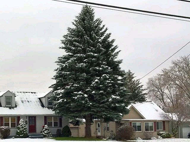 City of youngstown finds new christmas tree after first pick snapped New date set for delayed Downtown Youngstown Christmas Tree - WFMJ.com