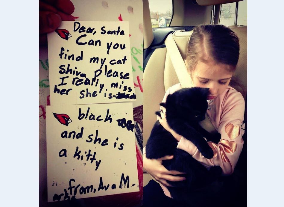 Angels For Animals reunites girl with lost cat - WFMJ.com News weather