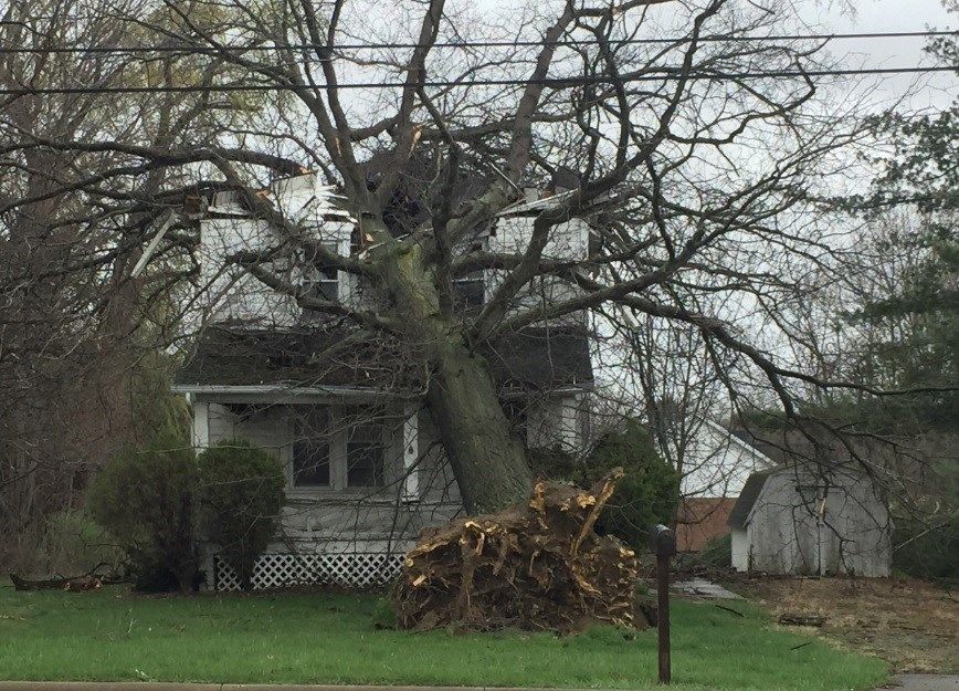 Nws Winds Not Tornado Cause Widespread Damage In Poland Wfmj