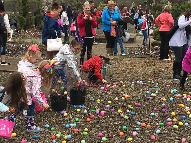 Hundreds Of Children Attend Easter Egg Hunt In Warren Wfmj Com