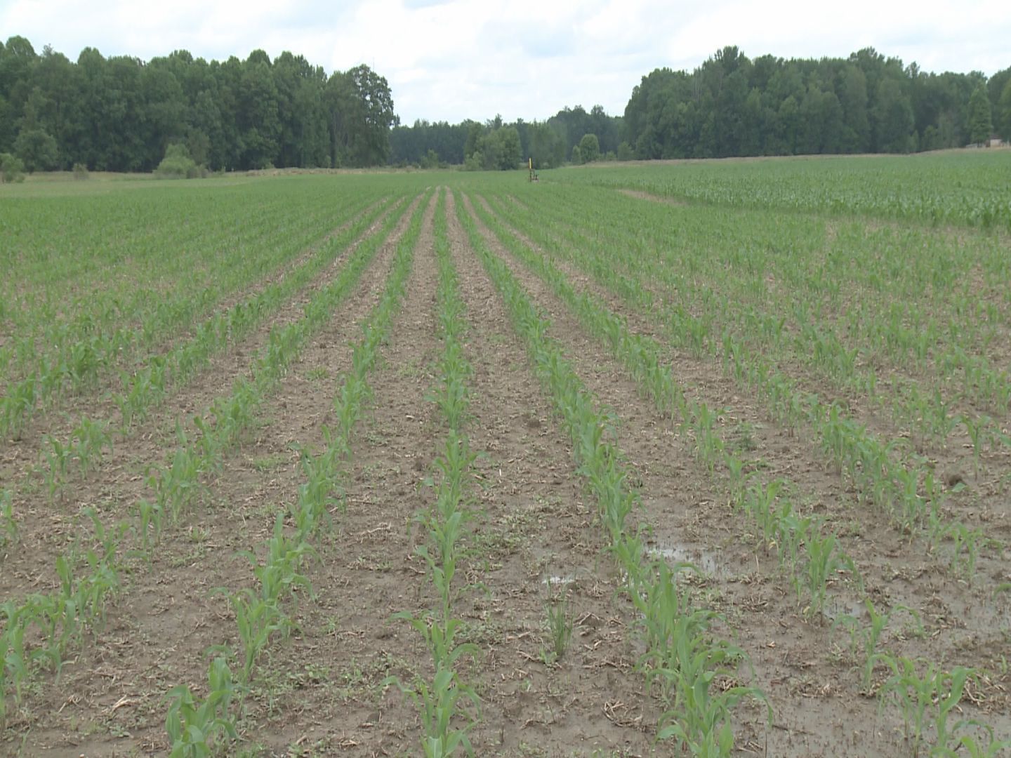 Ohio State University Extension offering 2026 AgriSeries programs