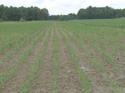 Ohio State University Extension offering 2026 AgriSeries programs