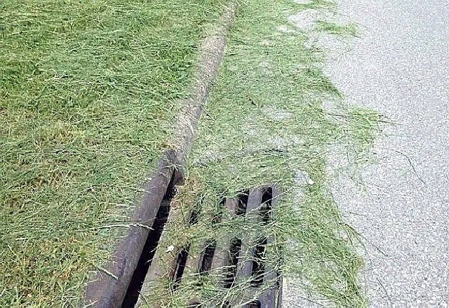 Niles Mayor Says Grass Clippings Could Cause Flooding Wfmj Com