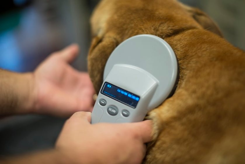 Pet project providing free microchip scanners to police departme 