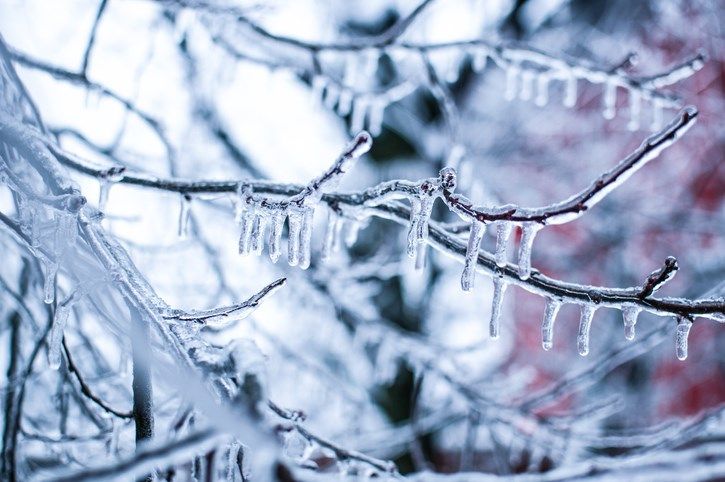 Finally, a break from the frigid air this week