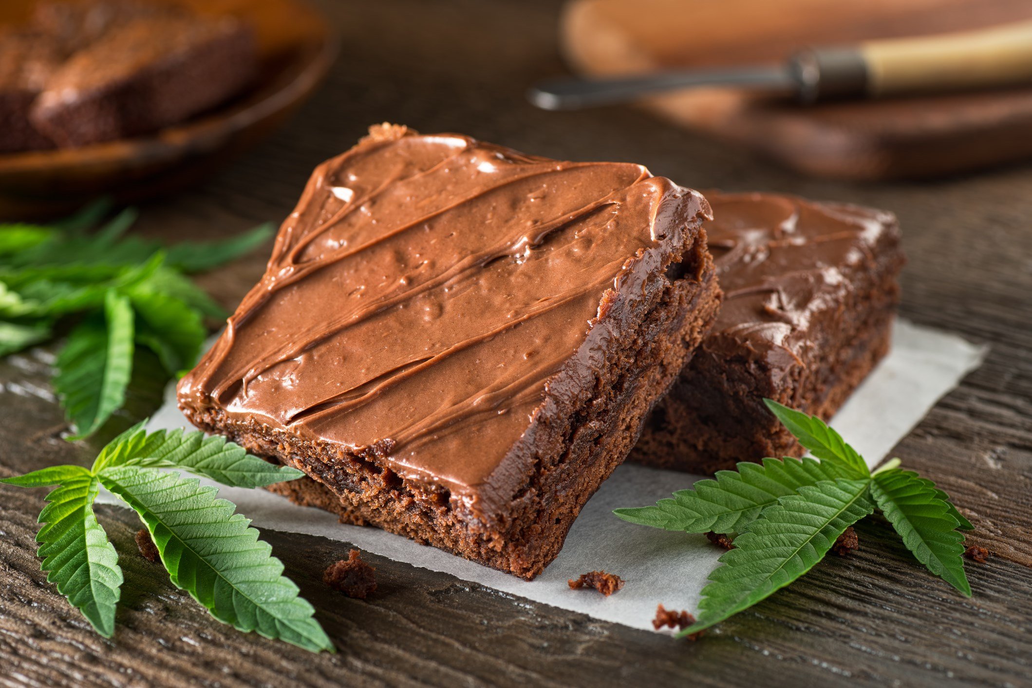 Student Charged After Marijuana laced Brownies Sicken Pupils WFMJ student-charged-after-marijuana-laced-brownies-sicken-pupils-wfmj