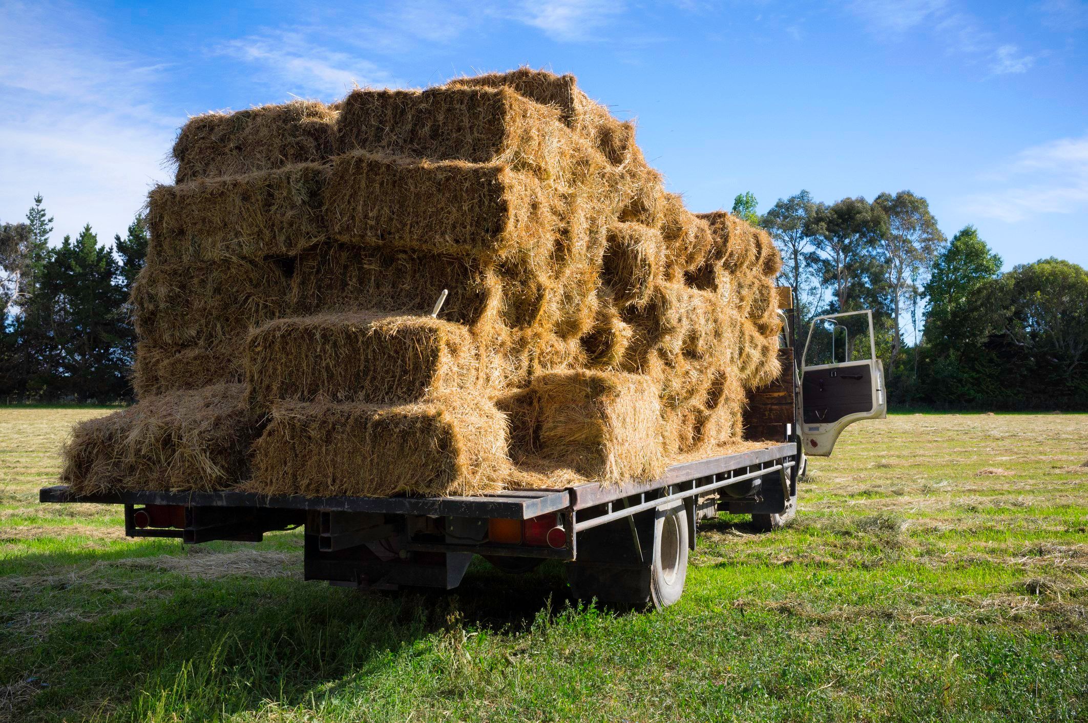 Critical hay shortage for Ohio farmers