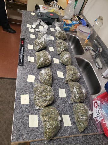 Greenville Ohio Porn - Greenville Police find large amounts of cocaine, marijuana ...