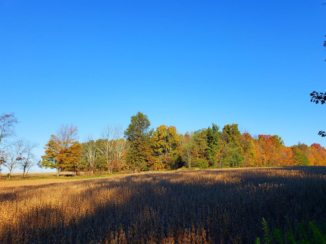 IMG_Valentino_101919