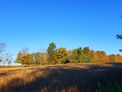 IMG_Valentino_101919