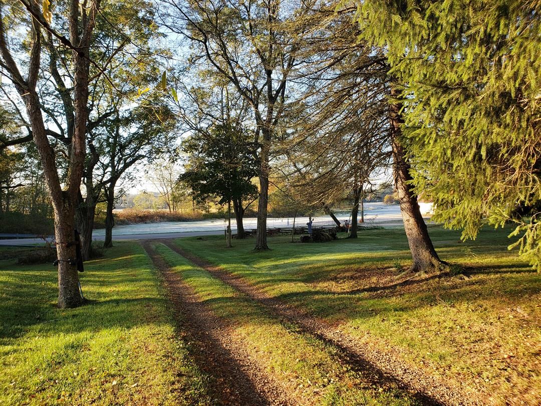 IMG2_Valentino_101919