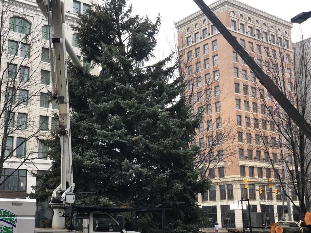 Crews prepare Youngstown Christmas tree for holiday festivities