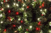 Buhl Park offering chance to win lighted tree in holiday display