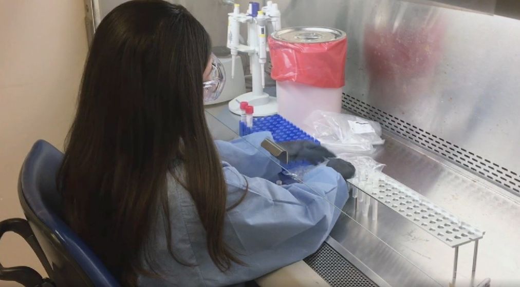 Which Ohioans Are First In Line For Coronavirus Testing Wfmj Com