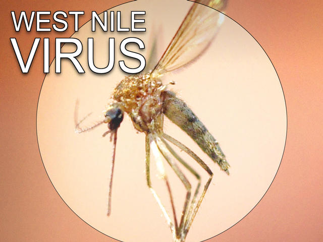 Ohio Has 9th Case Of West Nile Virus - WFMJ.com