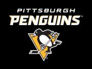 Former Phantom Fowler makes 33 saves in NHL debut as Canadiens beat Penguins