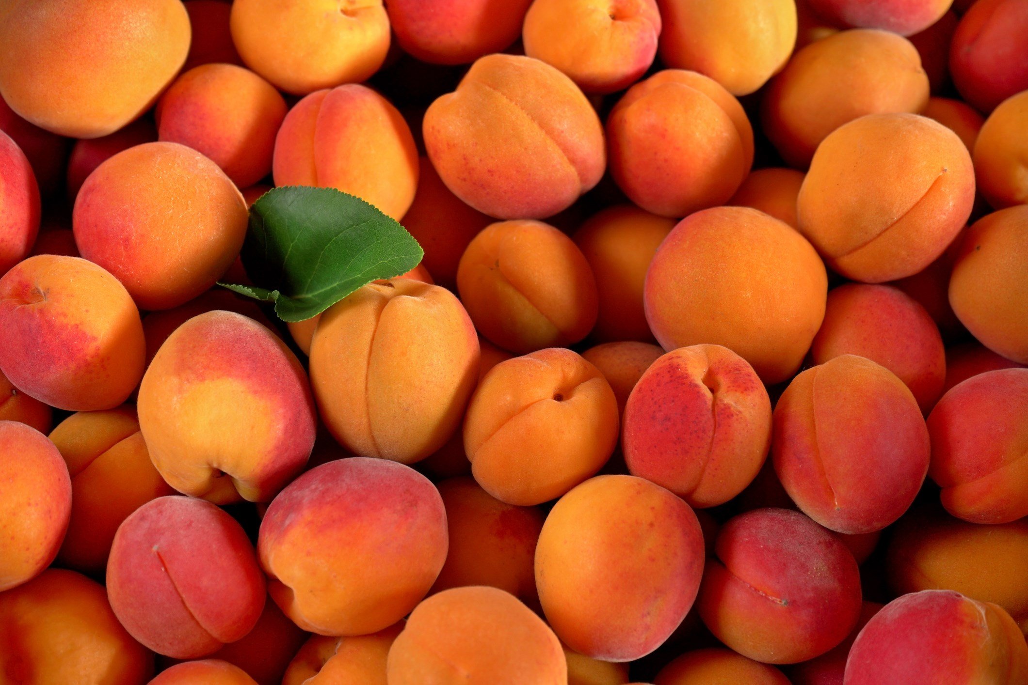 Giant Eagle added to recall on some peaches sold in Ohio, Pennsy - WFMJ.com Giant Eagle added to recall on some peaches sold in Ohio, Pennsy - WFMJ.com
