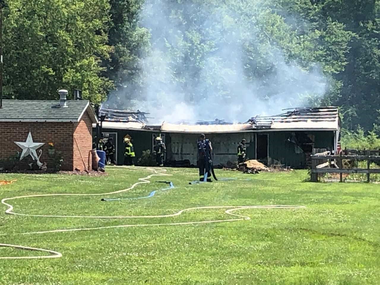 Horses escape barn fire in Jackson Twp. - WFMJ.com