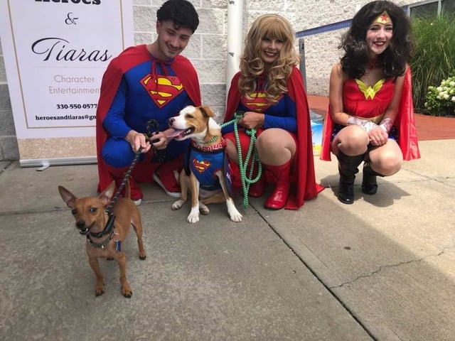 Angels for Animals hosts 'Super Hero Saturday' Angels for Animals hosts 'Super Hero Saturday'