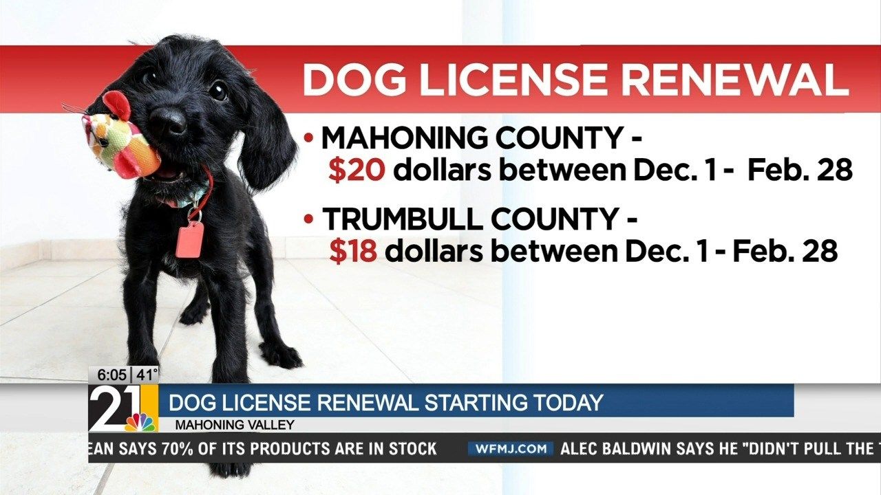 Dog License Renewal Starting Today Citations Possible For Owner Wfmj Com