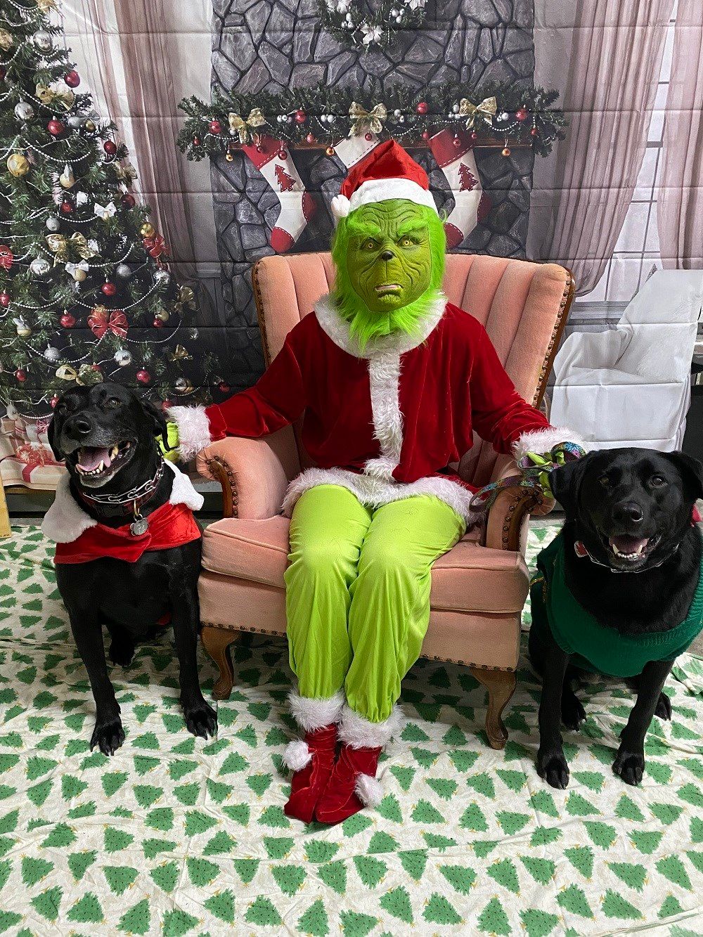 Austintown pet store hosts pet pictures with the Grinch