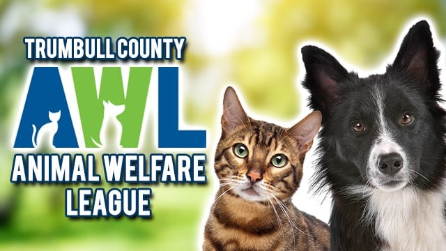 The Menagerie by Animal Welfare League relocating to Village Center Shopping Center