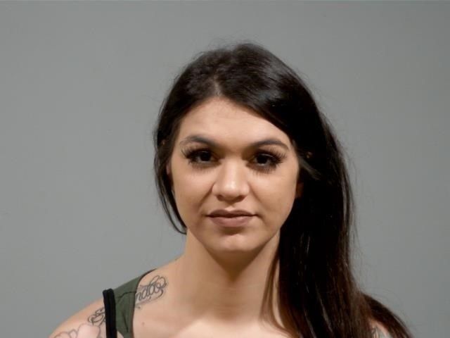 Hubbard woman sentenced for running over, killing her partner - WFMJ.com