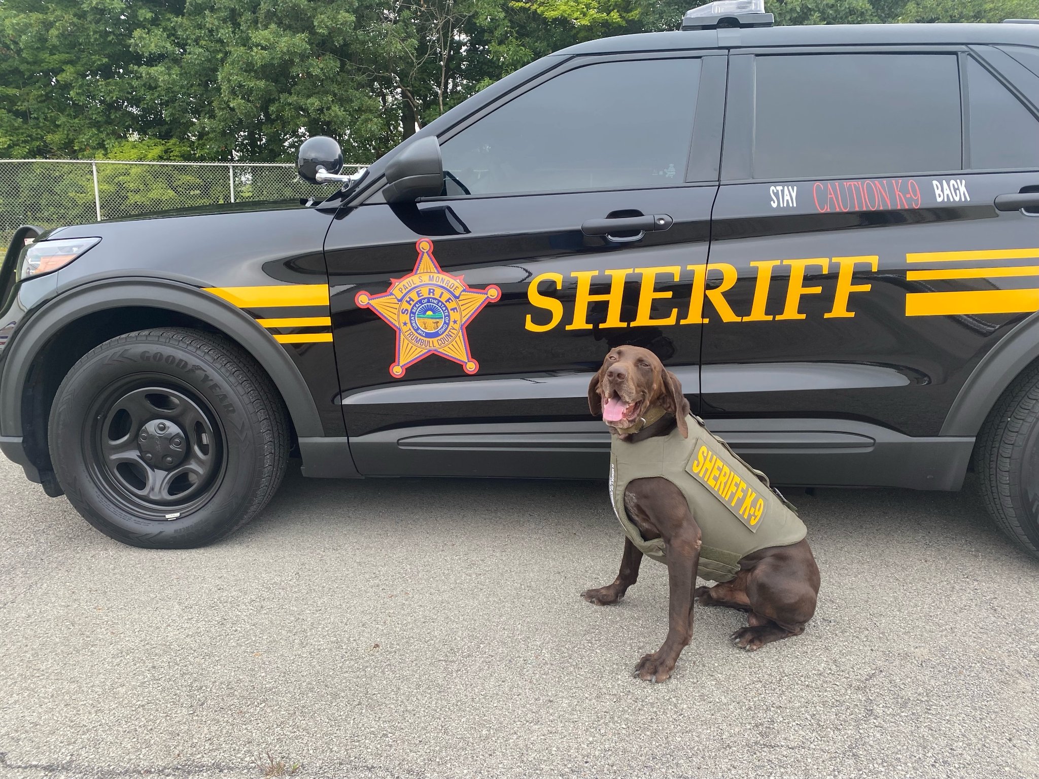 Westerville K9 Bruno receives donation of body armor