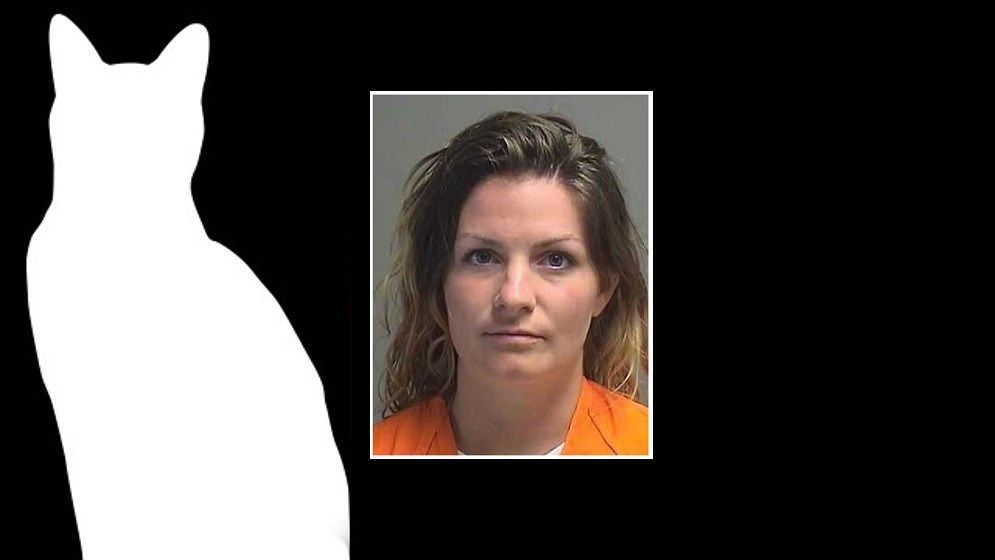 Tiffany Mesko -2017 booking photo