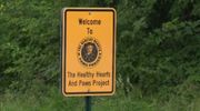 Healthy Hearts and Paws Project in Warren looks to bring on humane agent