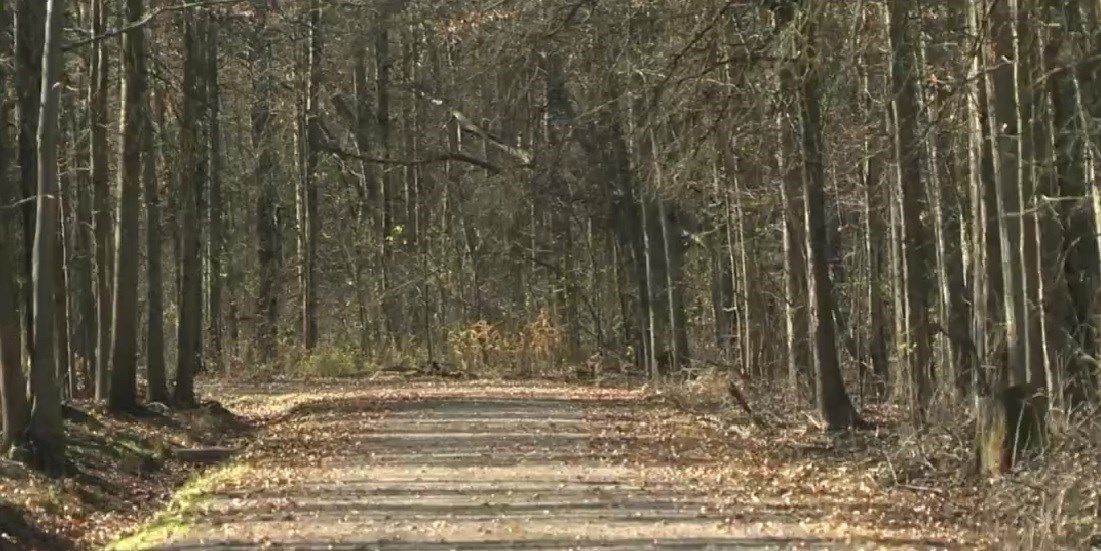 Death of teen at Bloomfield party ruled as accidental