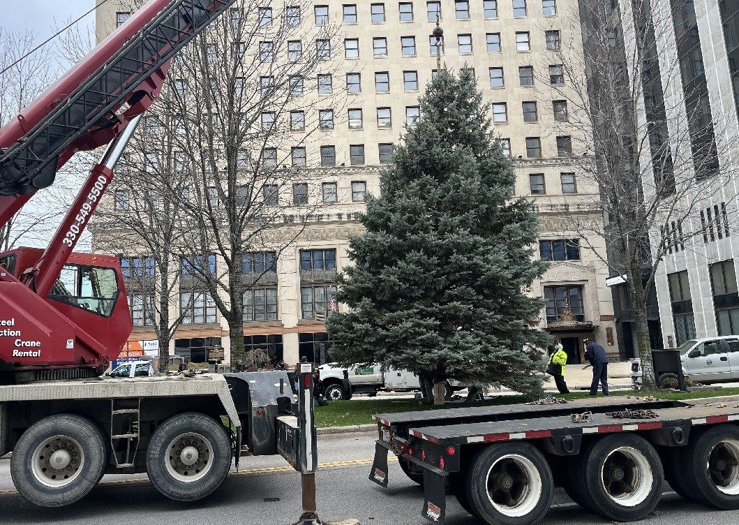 Youngstown Christmas tree delivered Downtown