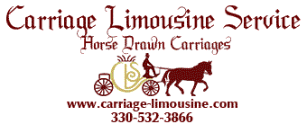 Carriage Limousine Service - Horse Drawn Carriages