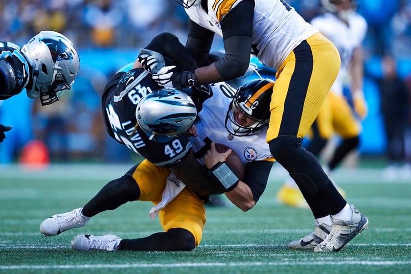 carolina panthers and pittsburgh steelers