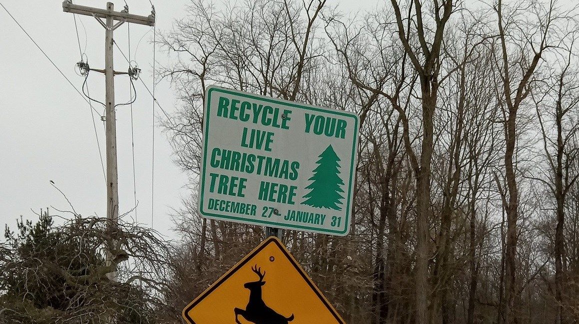 Where to recycle Christmas trees in the Valley