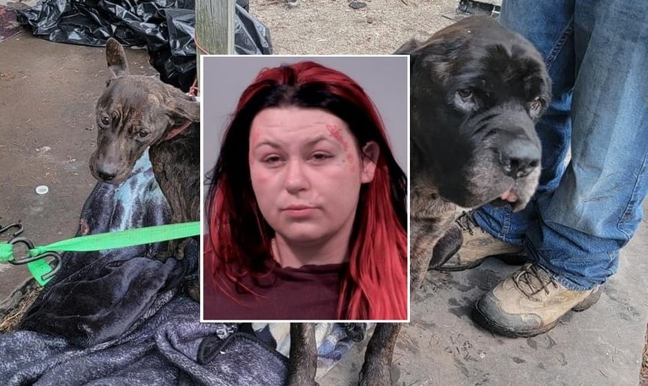 Audreanna Lewis (2022 booking photo)