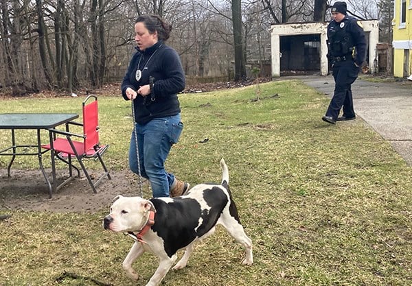 A dog is removed from the Ohio Ave. Tuesday afternoon.