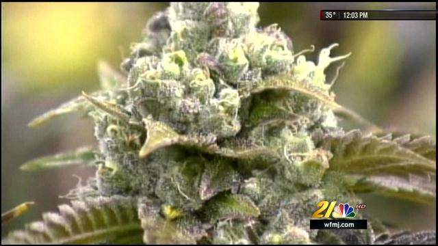 Medical marijuana bill introduced into Pennsylvania senate - WFMJ.com